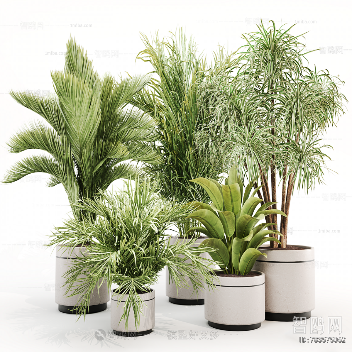 Modern Ground Green Plant Potted Plants