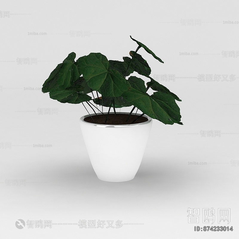 Modern Potted Green Plant