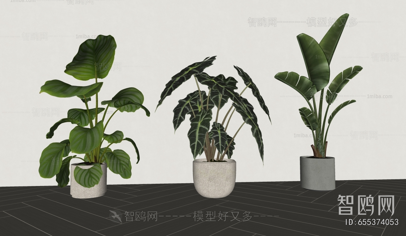 Modern Ground Green Plant Potted Plants