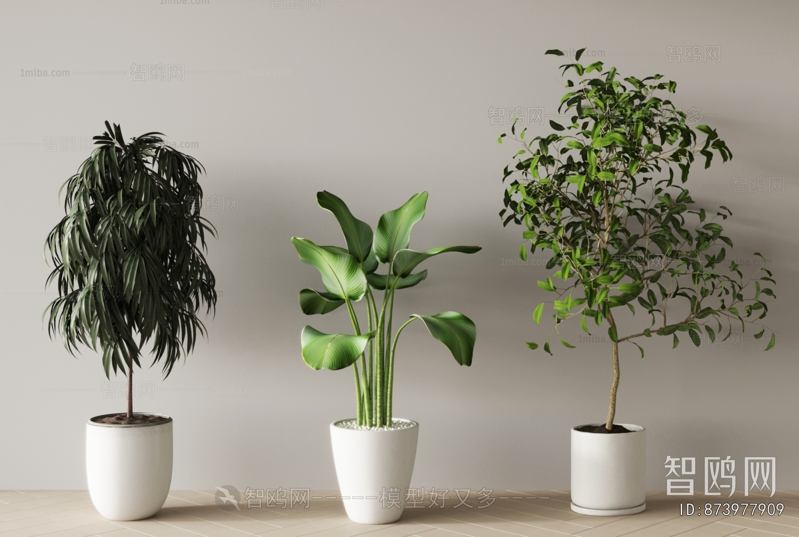 Modern Ground Green Plant Potted Plants