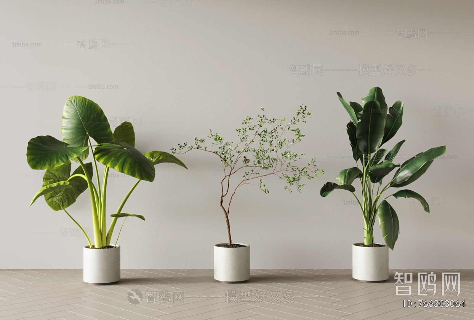 Modern Ground Green Plant Potted Plants