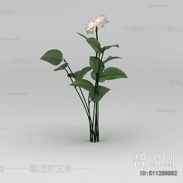 Modern Flowers And Grass