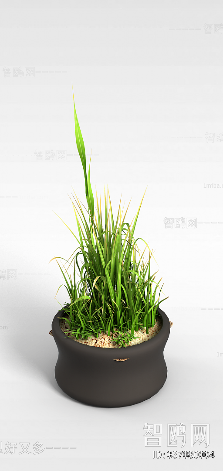 Modern Potted Green Plant