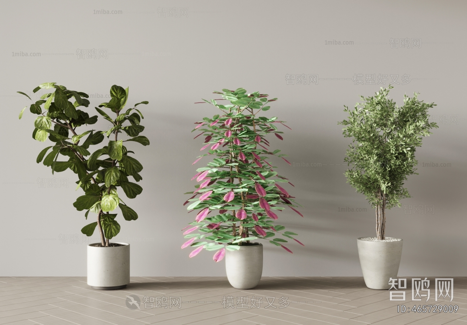 Modern Ground Green Plant Potted Plants