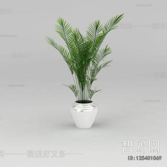 Modern Ground Green Plant Potted Plants