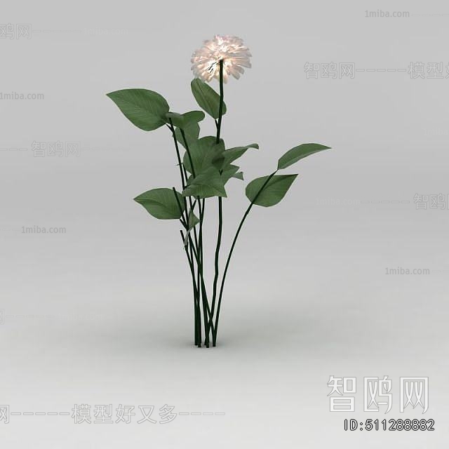 Modern Flowers And Grass