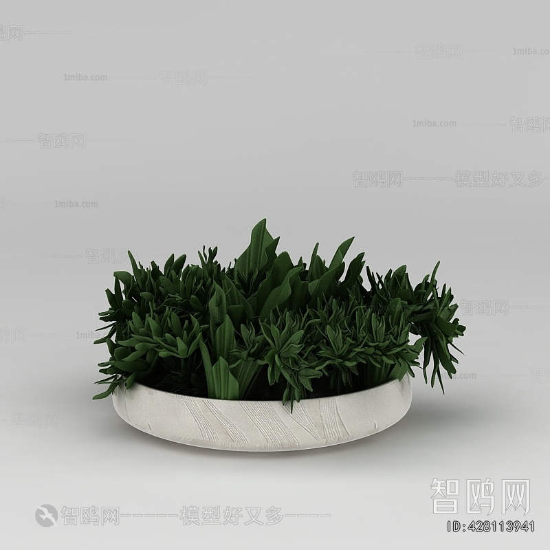 Modern Potted Green Plant