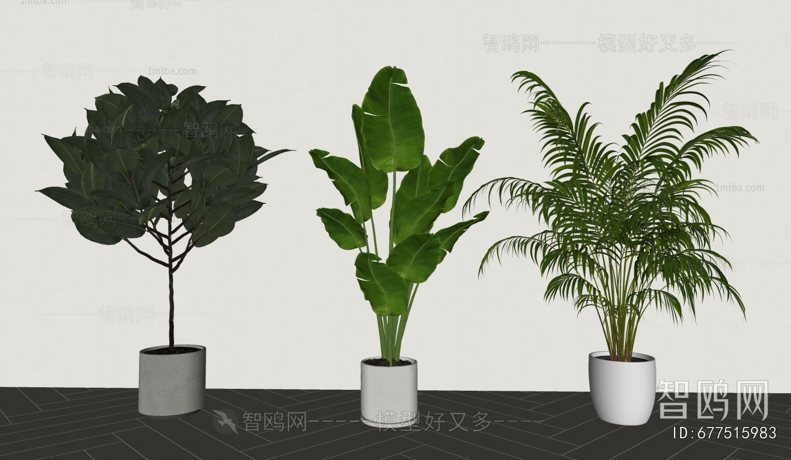 Modern Ground Green Plant Potted Plants