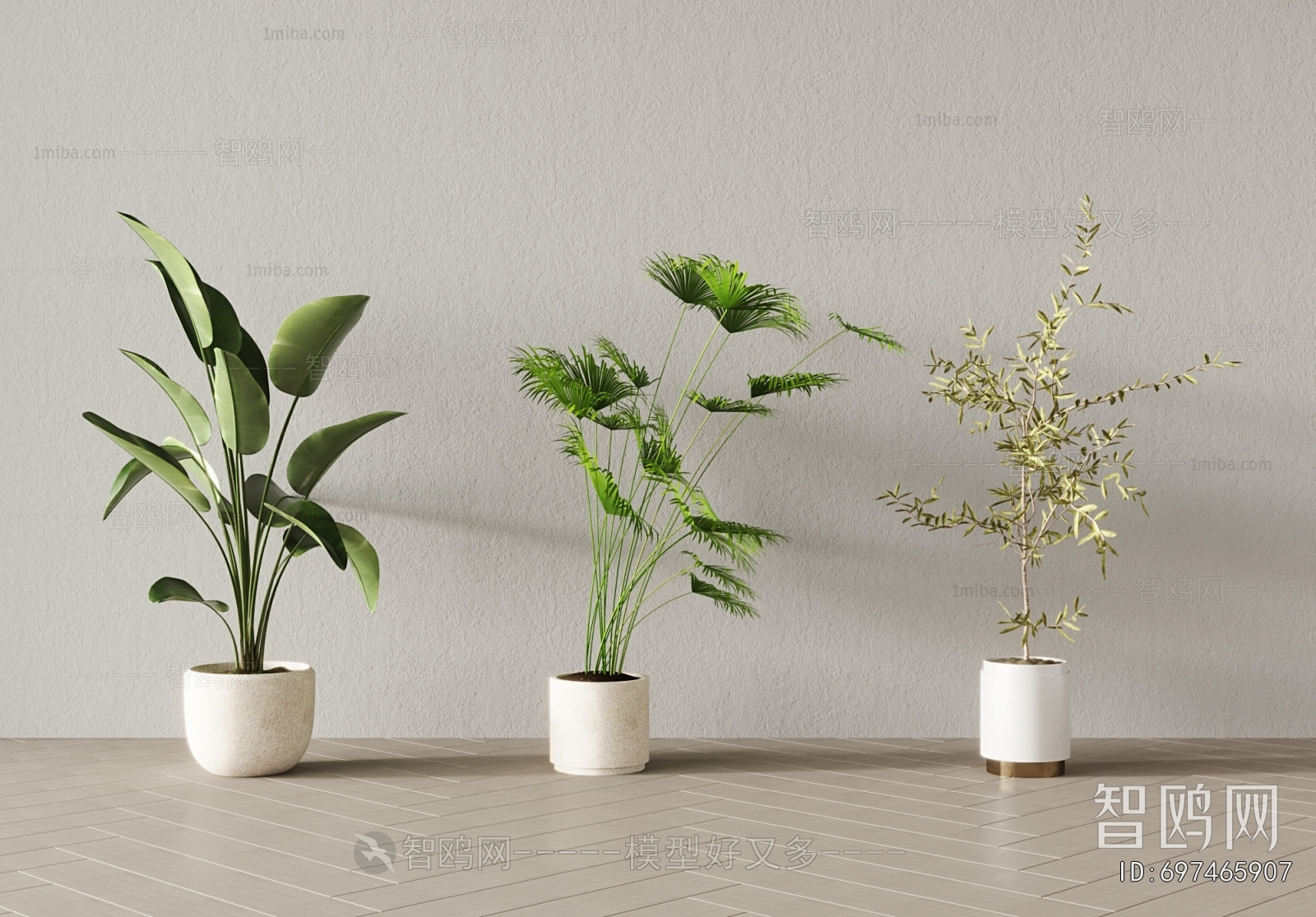 Modern Ground Green Plant Potted Plants