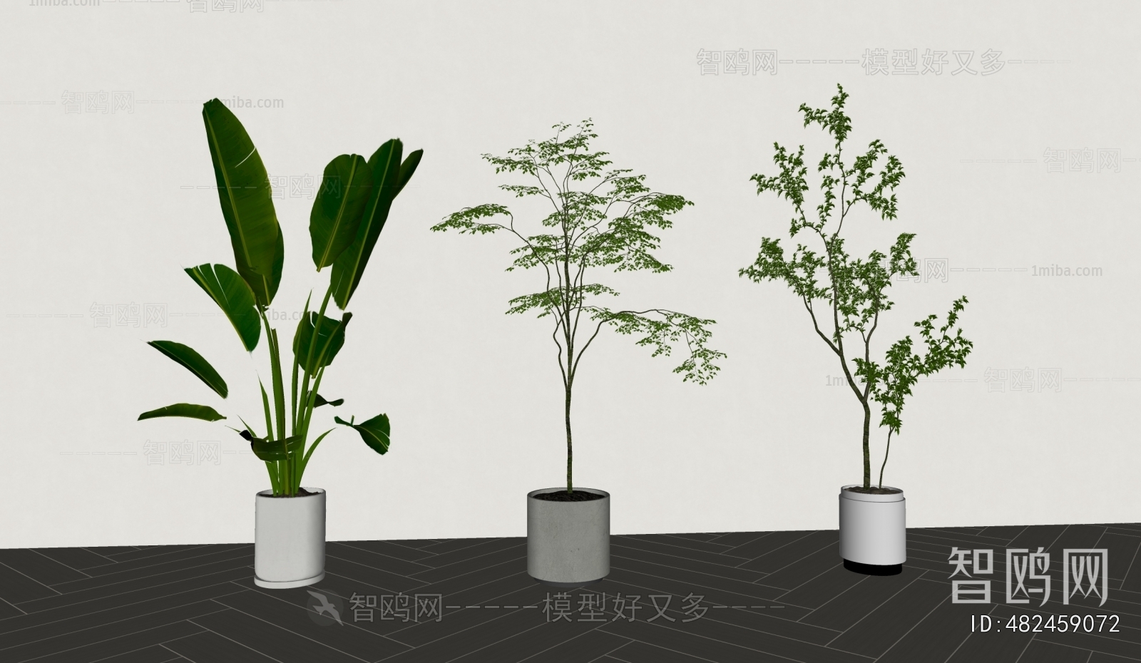 Modern Ground Green Plant Potted Plants