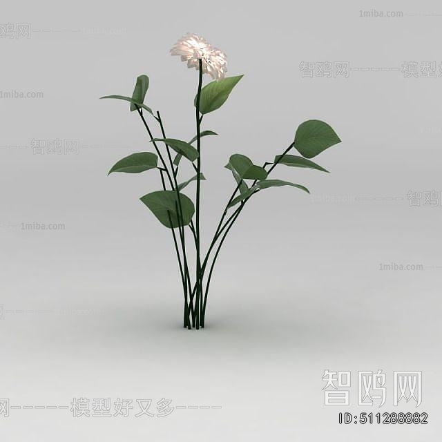 Modern Flowers And Grass