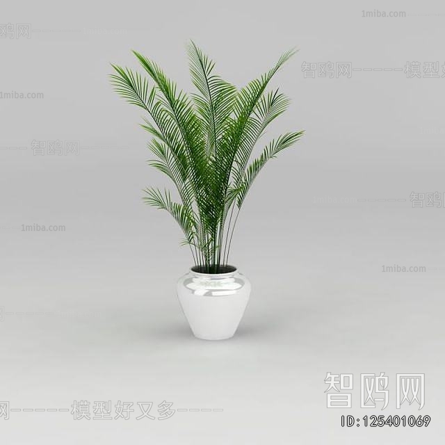Modern Ground Green Plant Potted Plants
