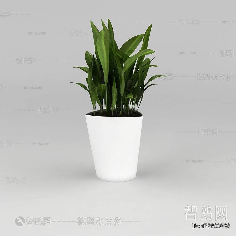 Modern Potted Green Plant