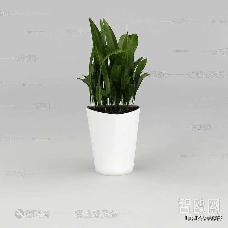 Modern Potted Green Plant