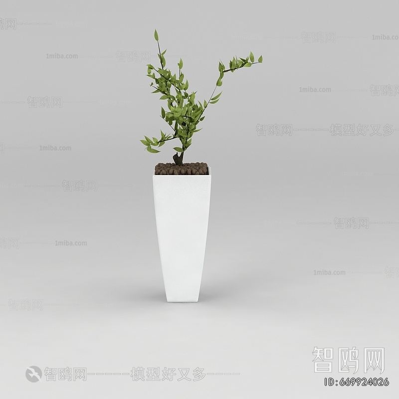 Modern Ground Green Plant Potted Plants