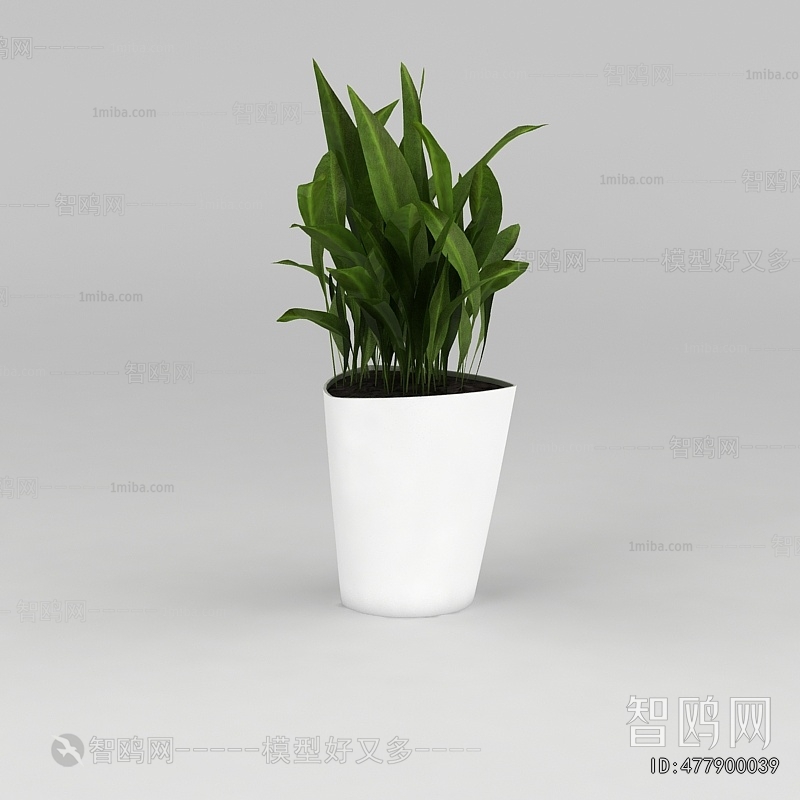 Modern Potted Green Plant