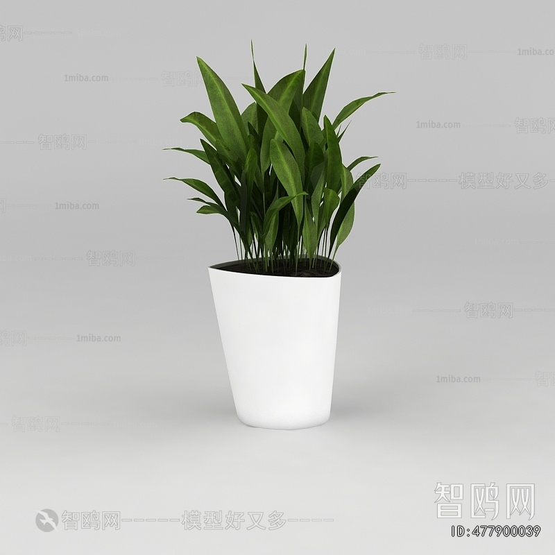 Modern Potted Green Plant