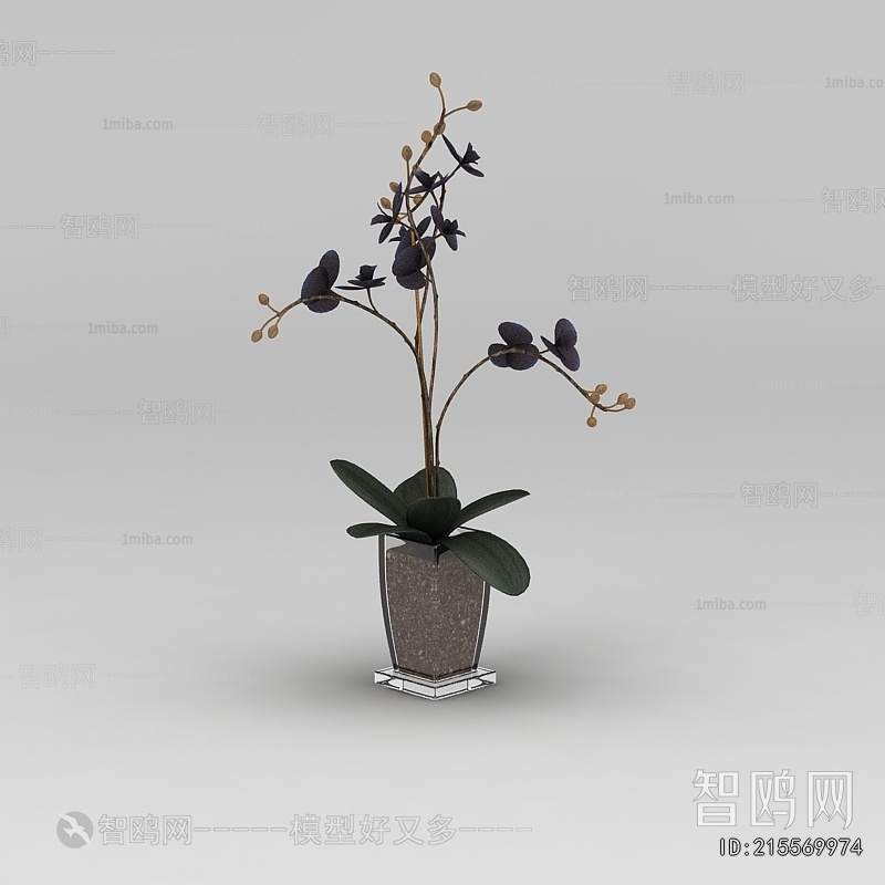 Modern Potted Green Plant