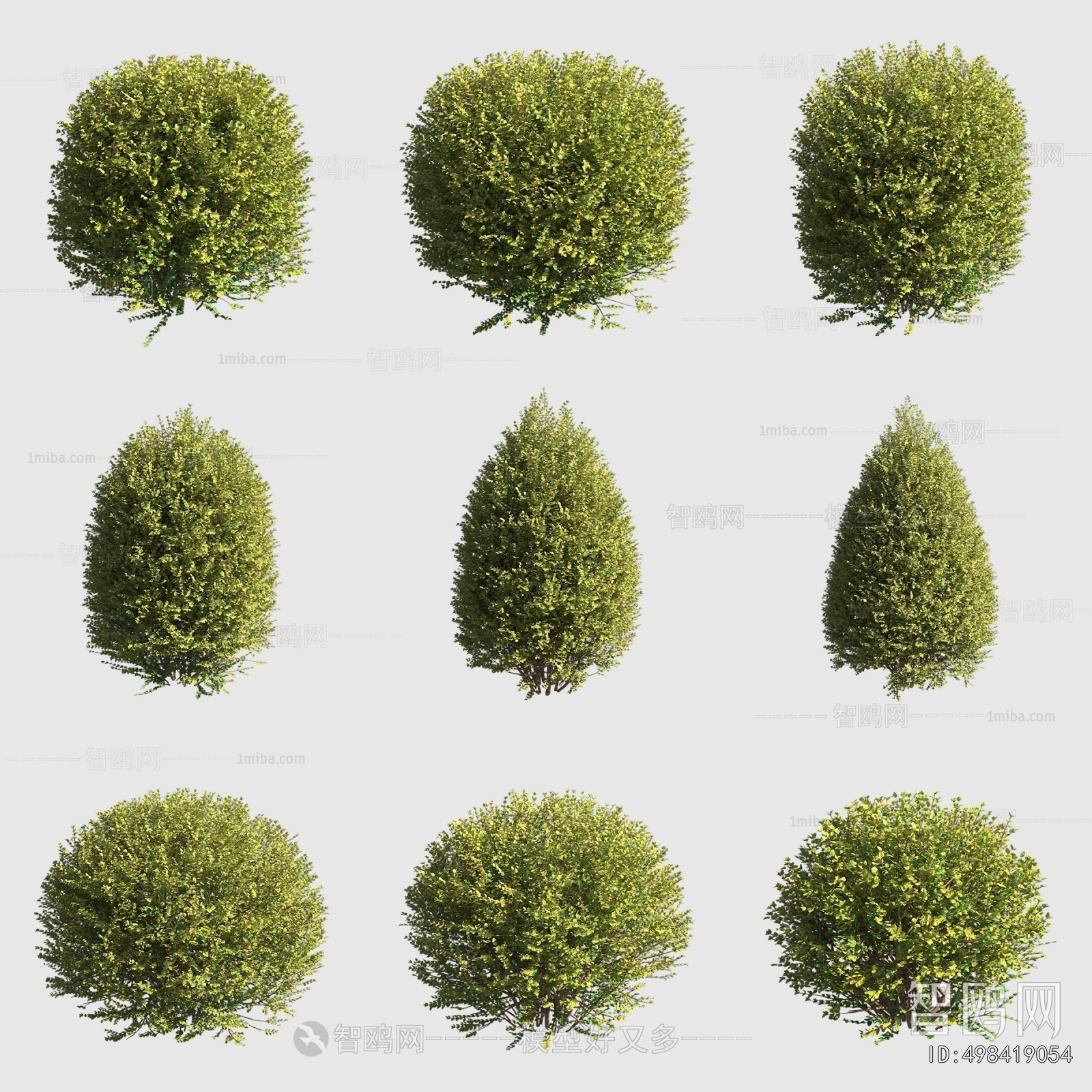 Modern Shrubbery