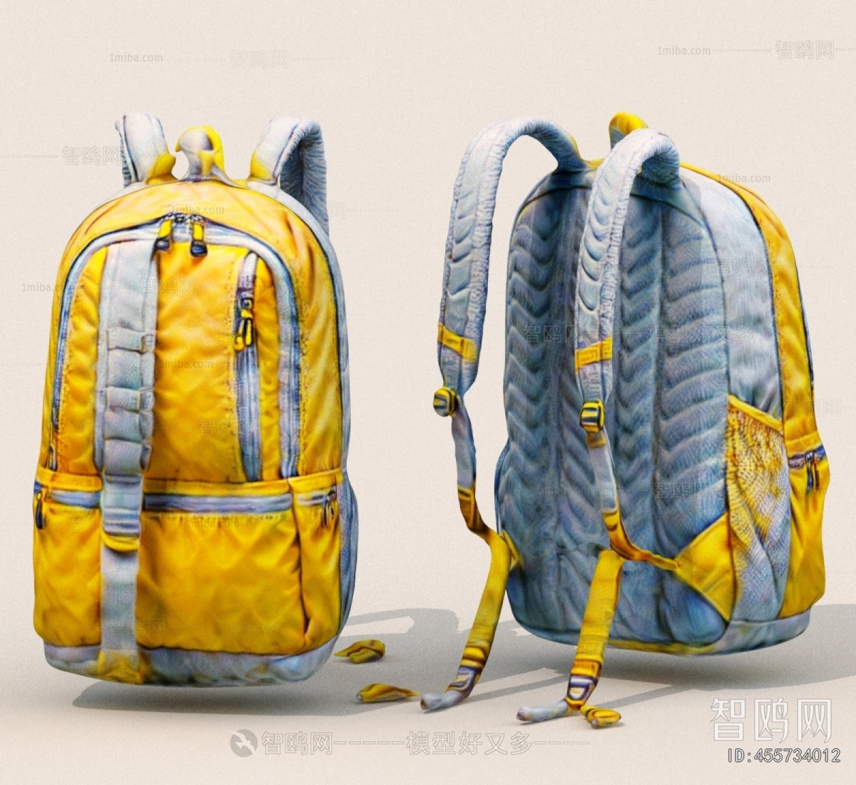 Modern Backpack And Backpack