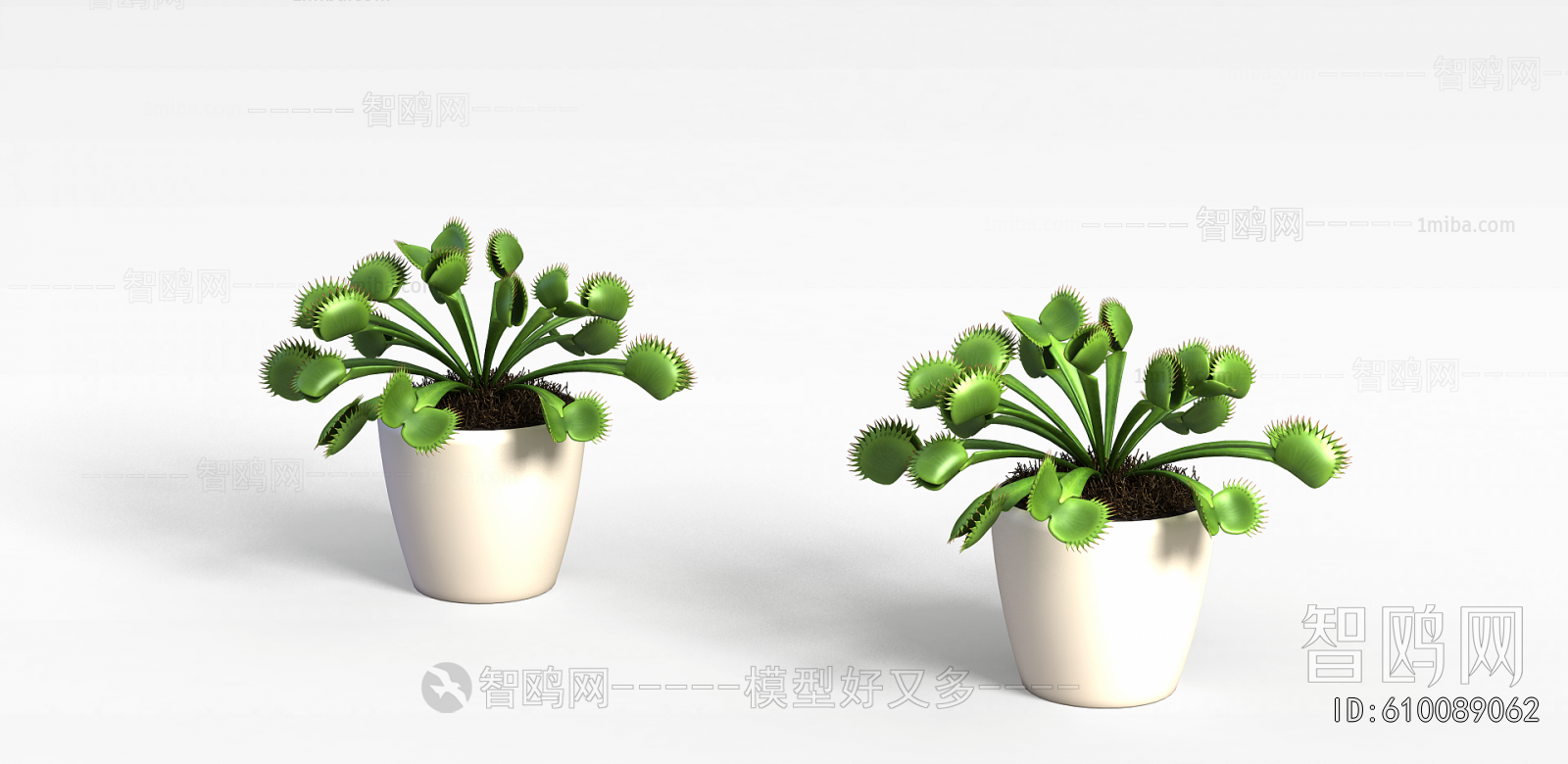 Modern Potted Green Plant
