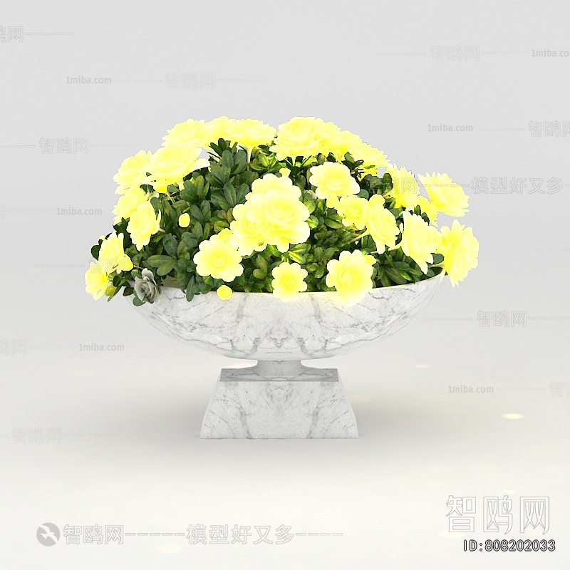 Modern Flower Bed, Flower Bowl, Flower Box