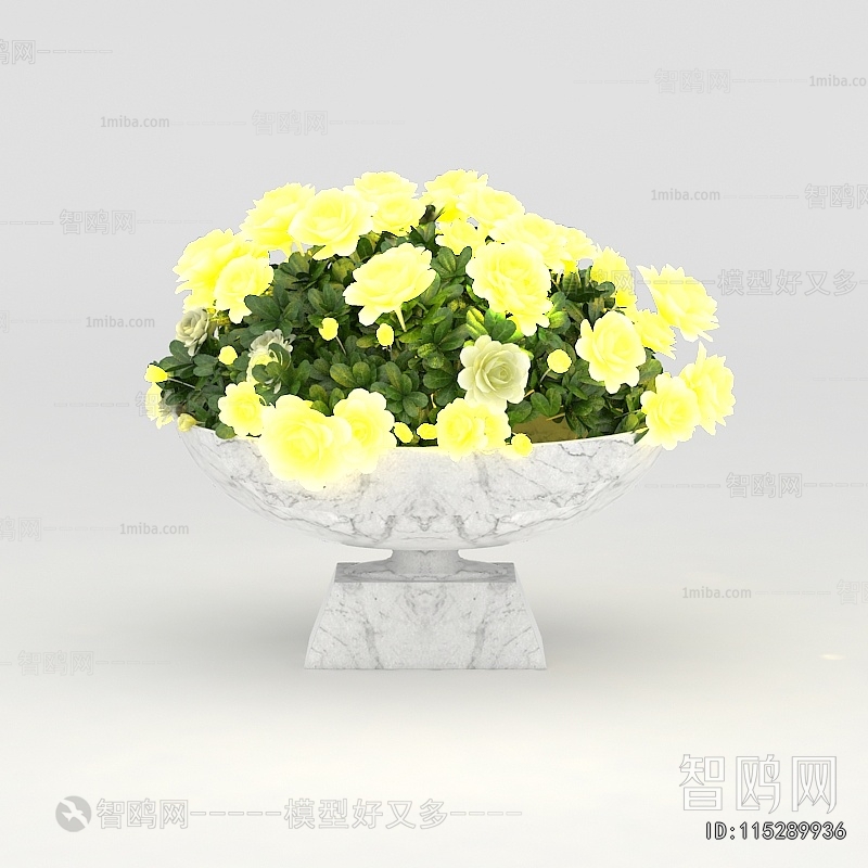 Modern Flower Bed, Flower Bowl, Flower Box
