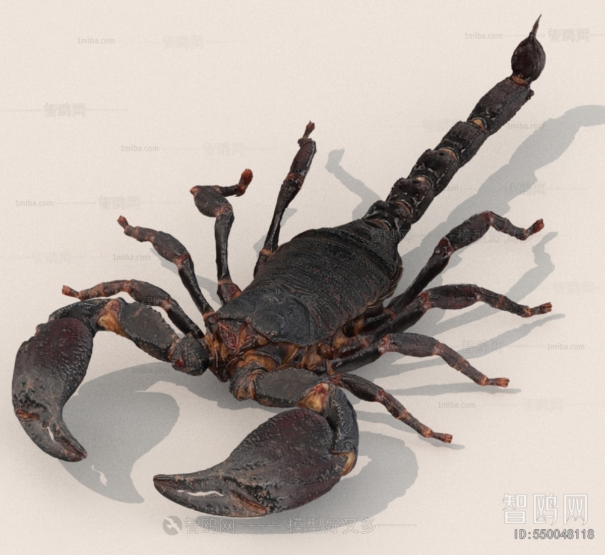 Modern Other Animals