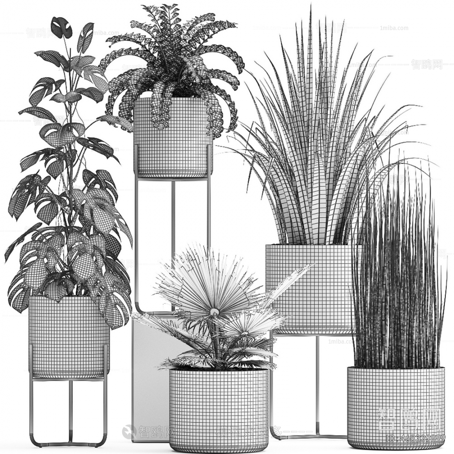 Modern Potted Green Plant