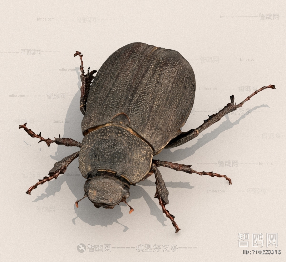 Modern Other Animals