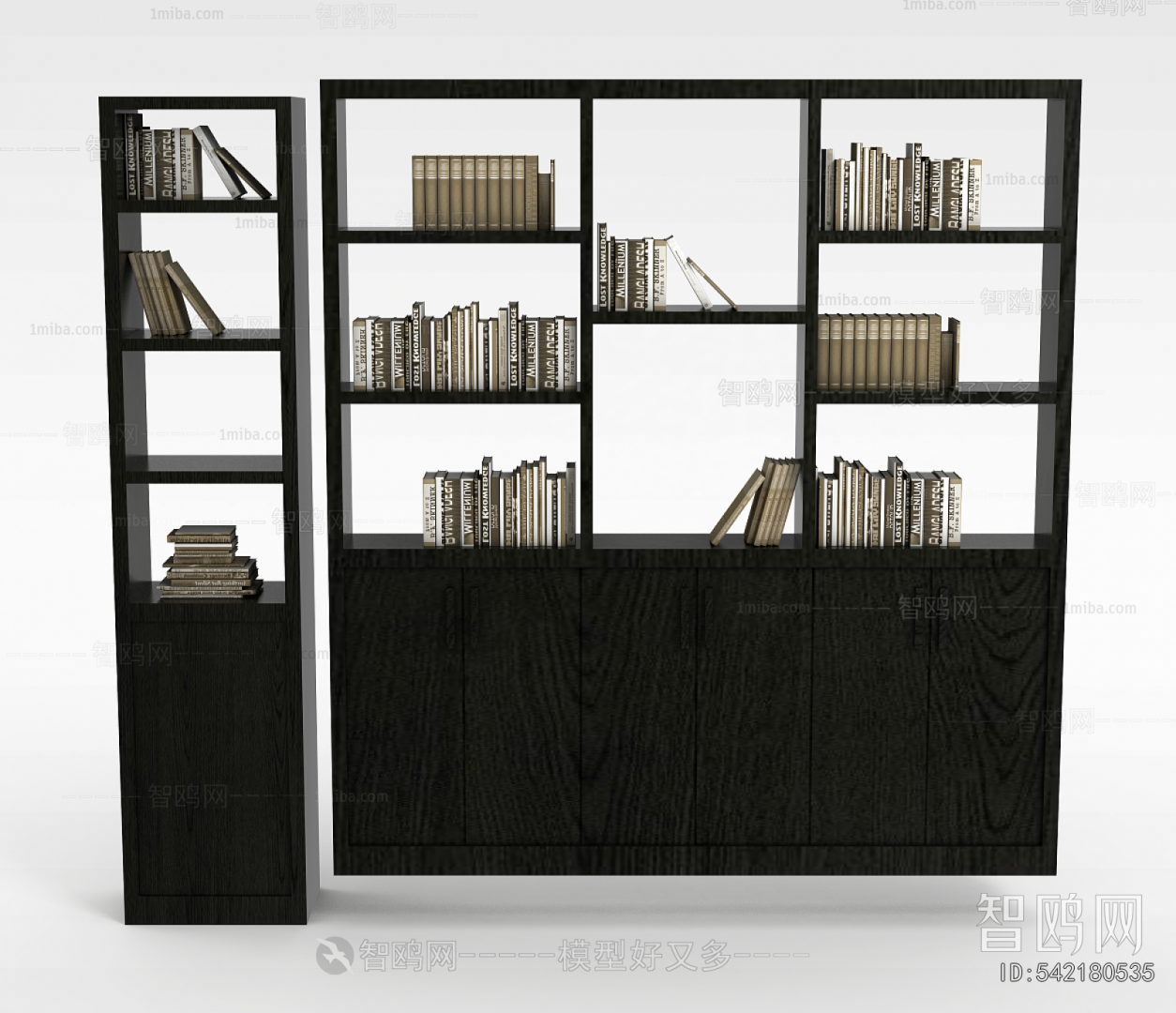 Modern Bookshelf