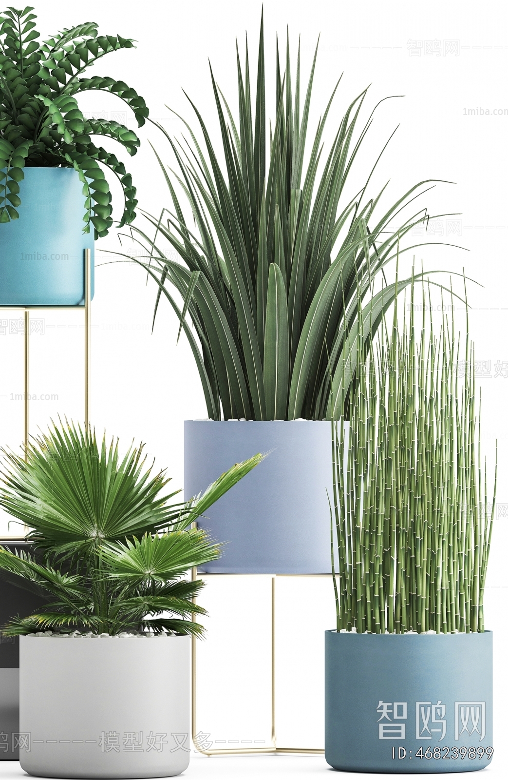 Modern Potted Green Plant