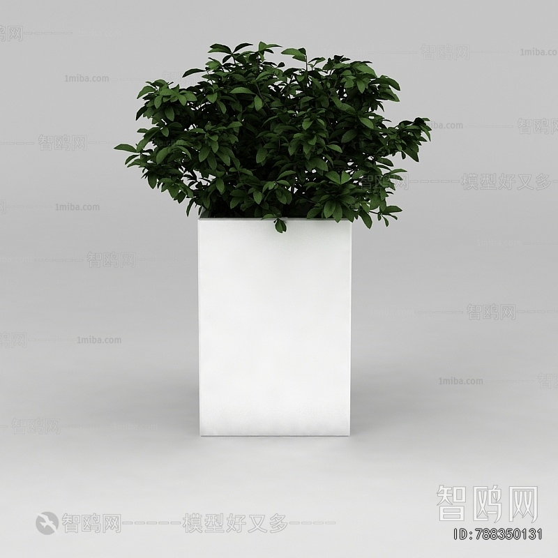 Modern Potted Green Plant