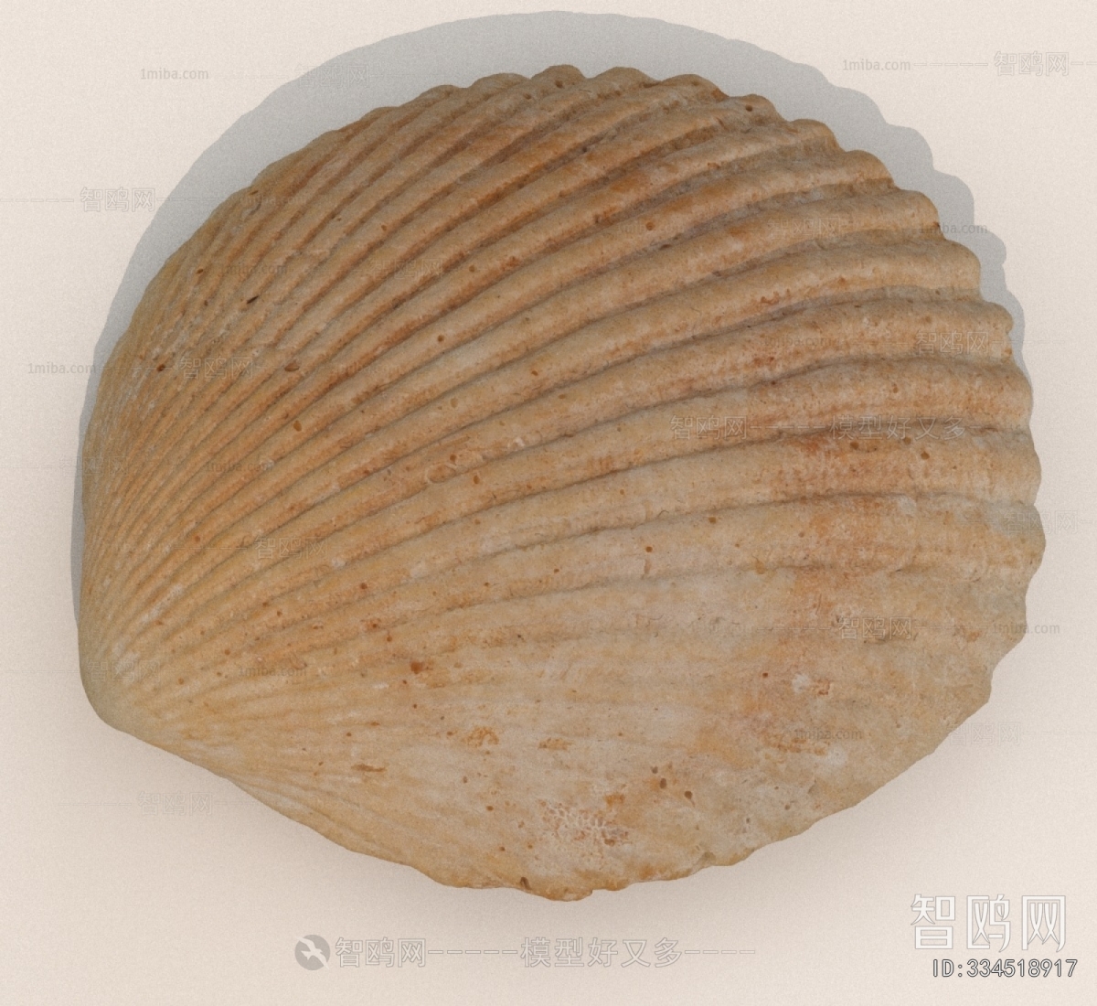 Modern Aquatic Animals