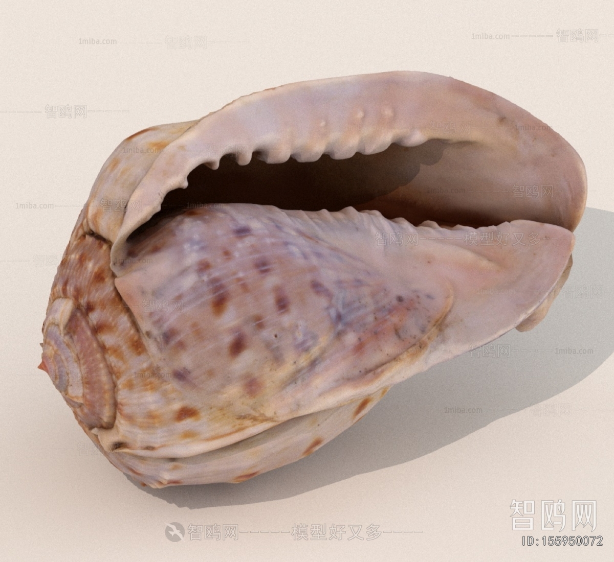 Modern Aquatic Animals