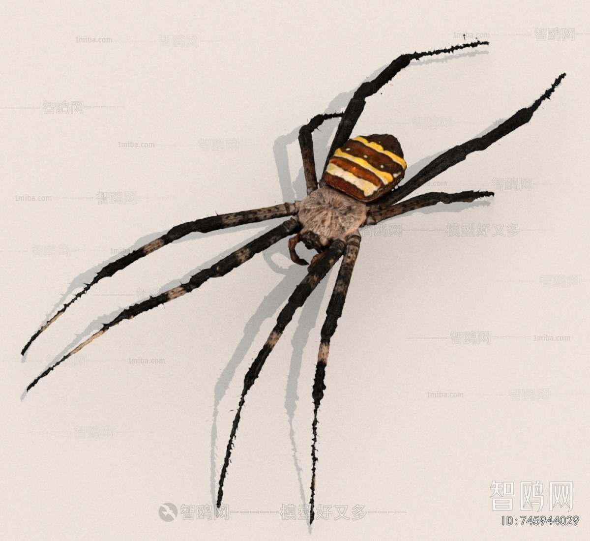 Modern Other Animals