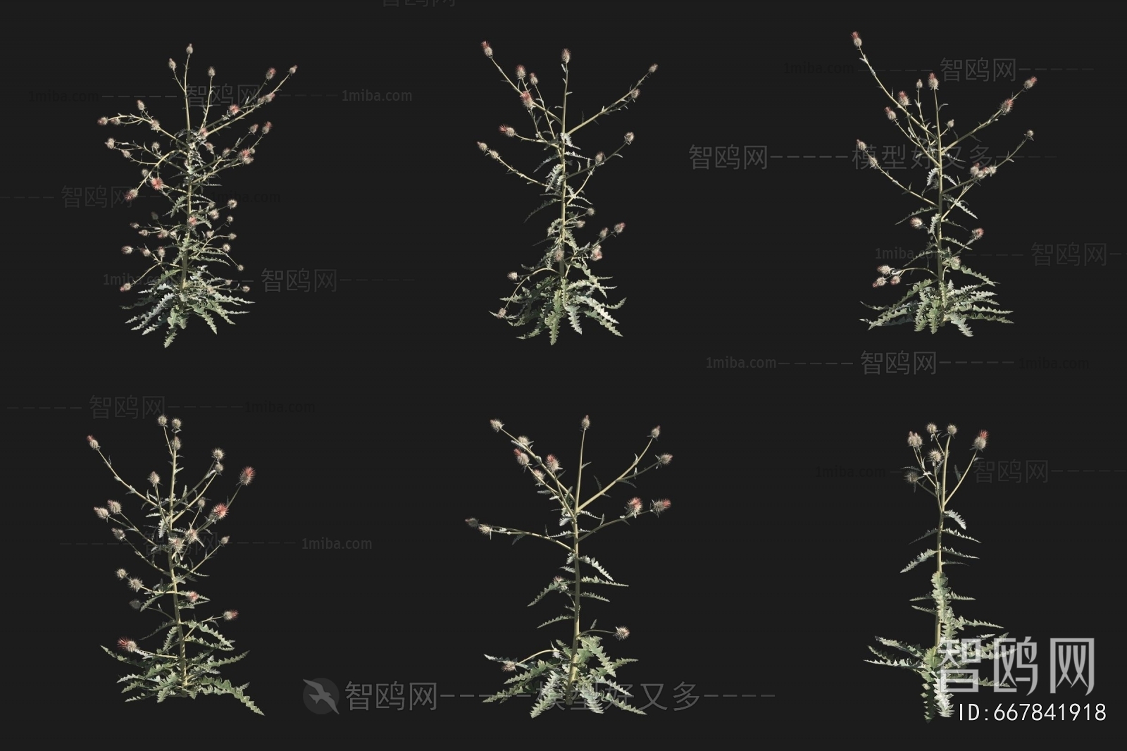 Modern Flowers And Grass