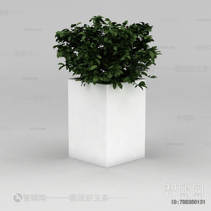 Modern Potted Green Plant