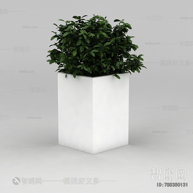 Modern Potted Green Plant