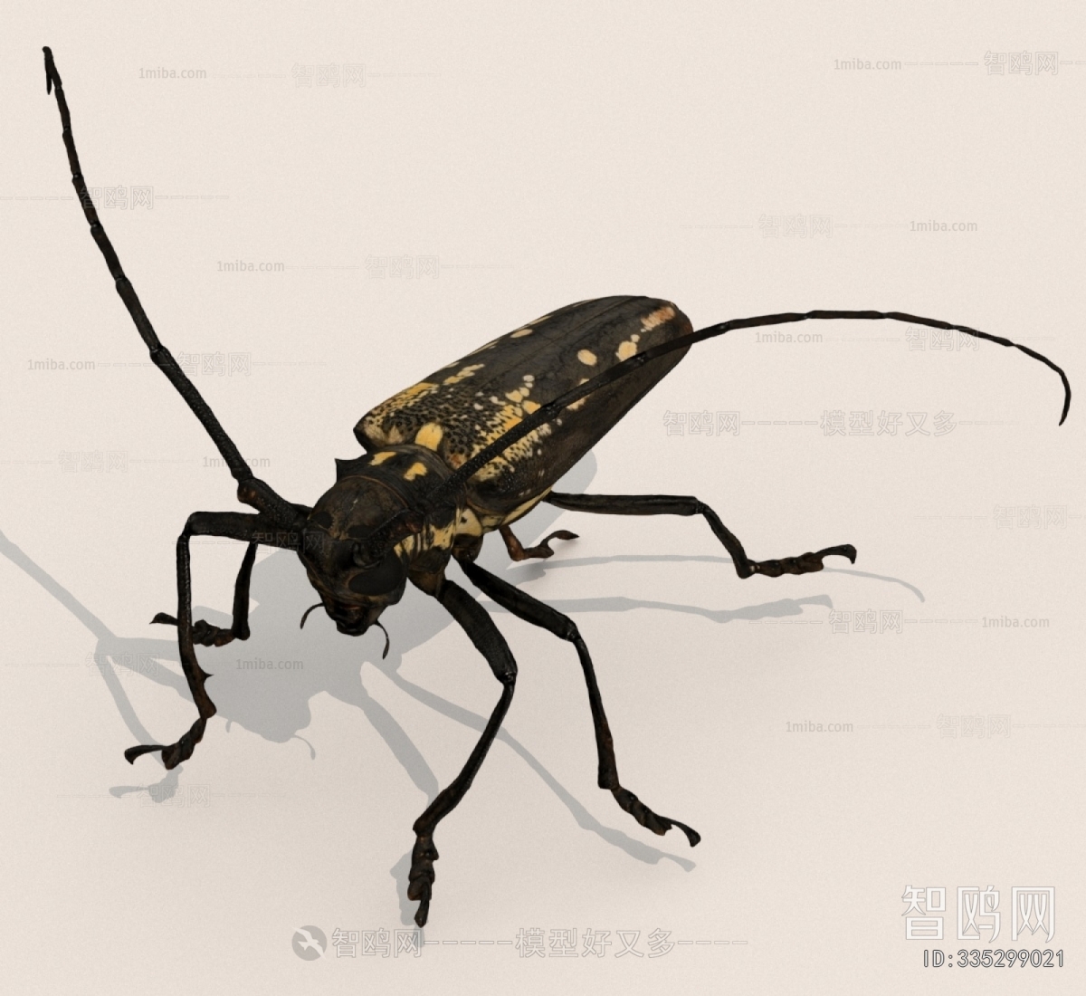 Modern Other Animals