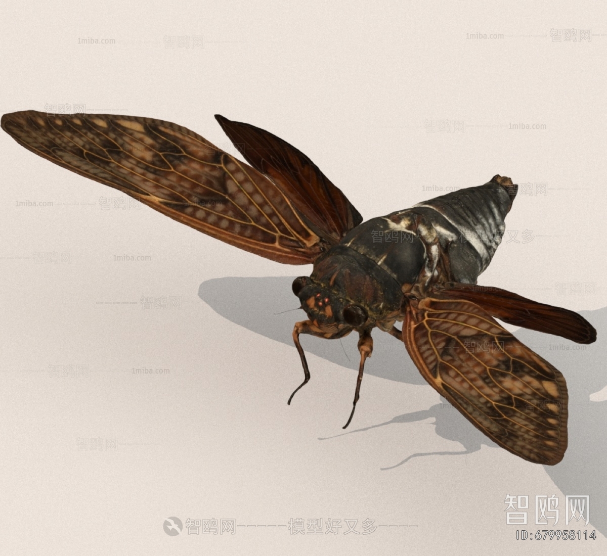 Modern Other Animals