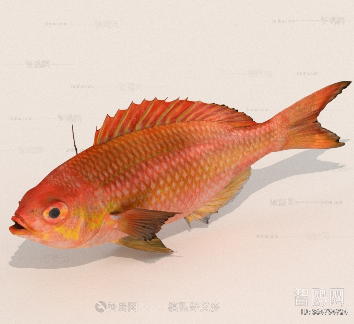 Modern Aquatic Animals