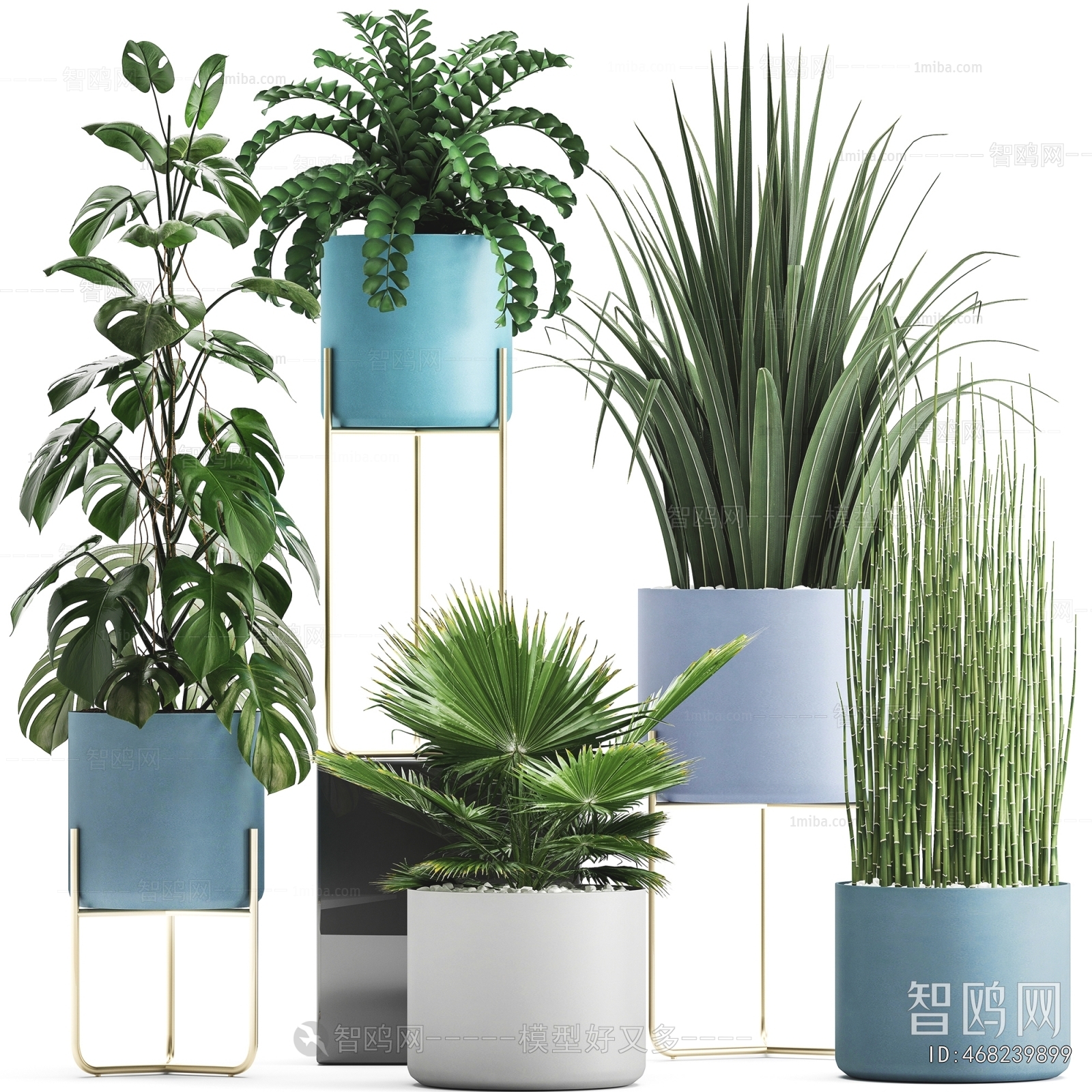 Modern Potted Green Plant
