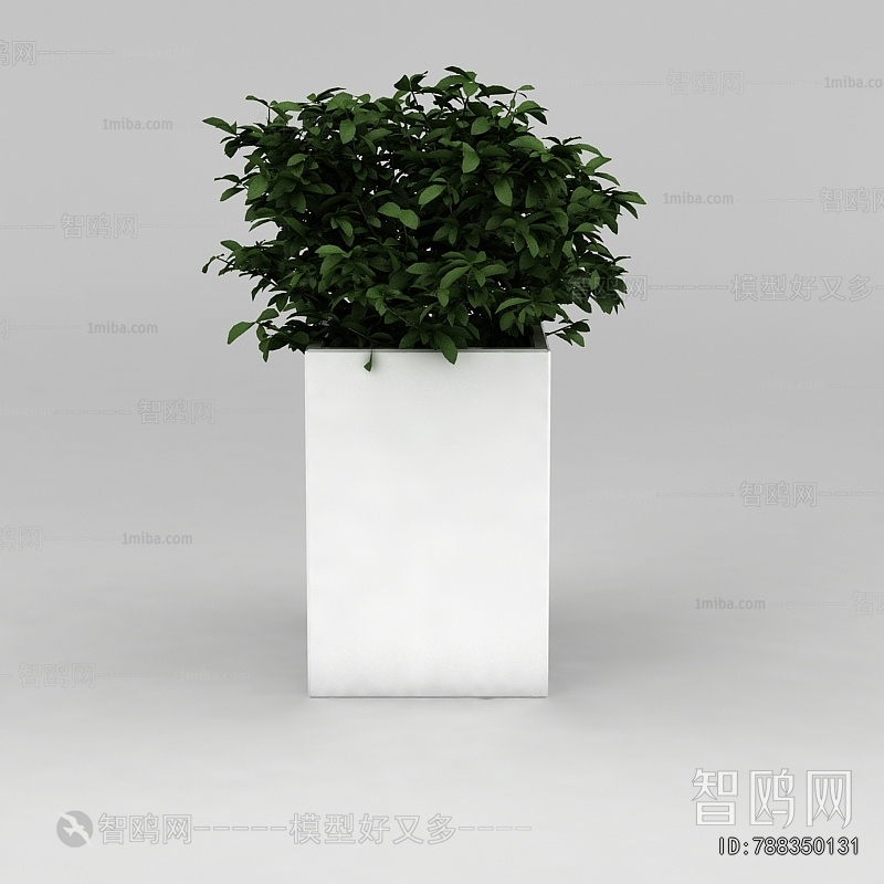 Modern Potted Green Plant