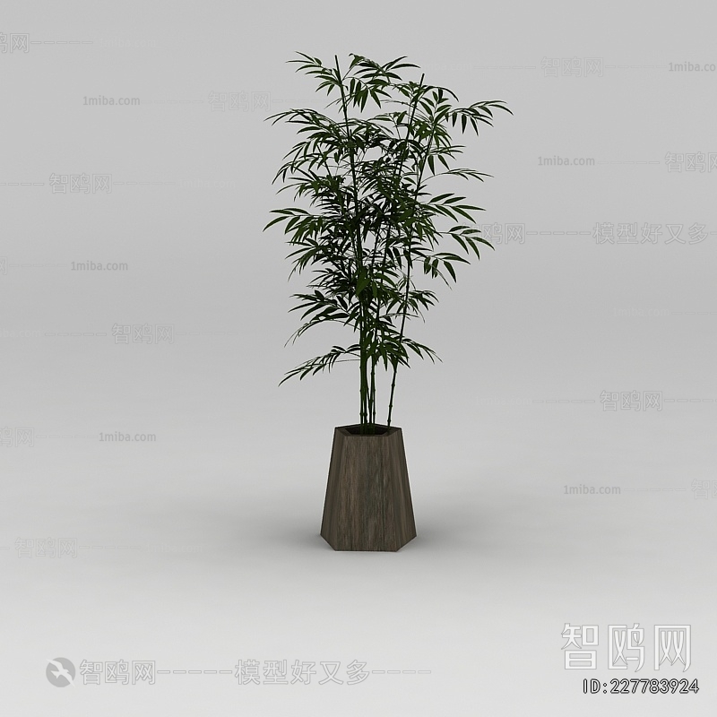 New Chinese Style Ground Green Plant Potted Plants