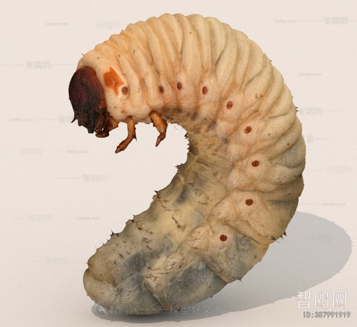 Modern Other Animals