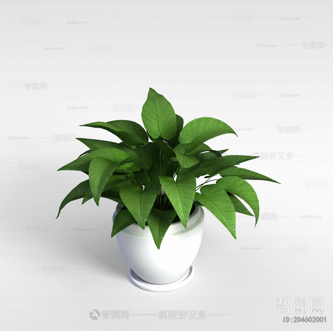 Modern Potted Green Plant