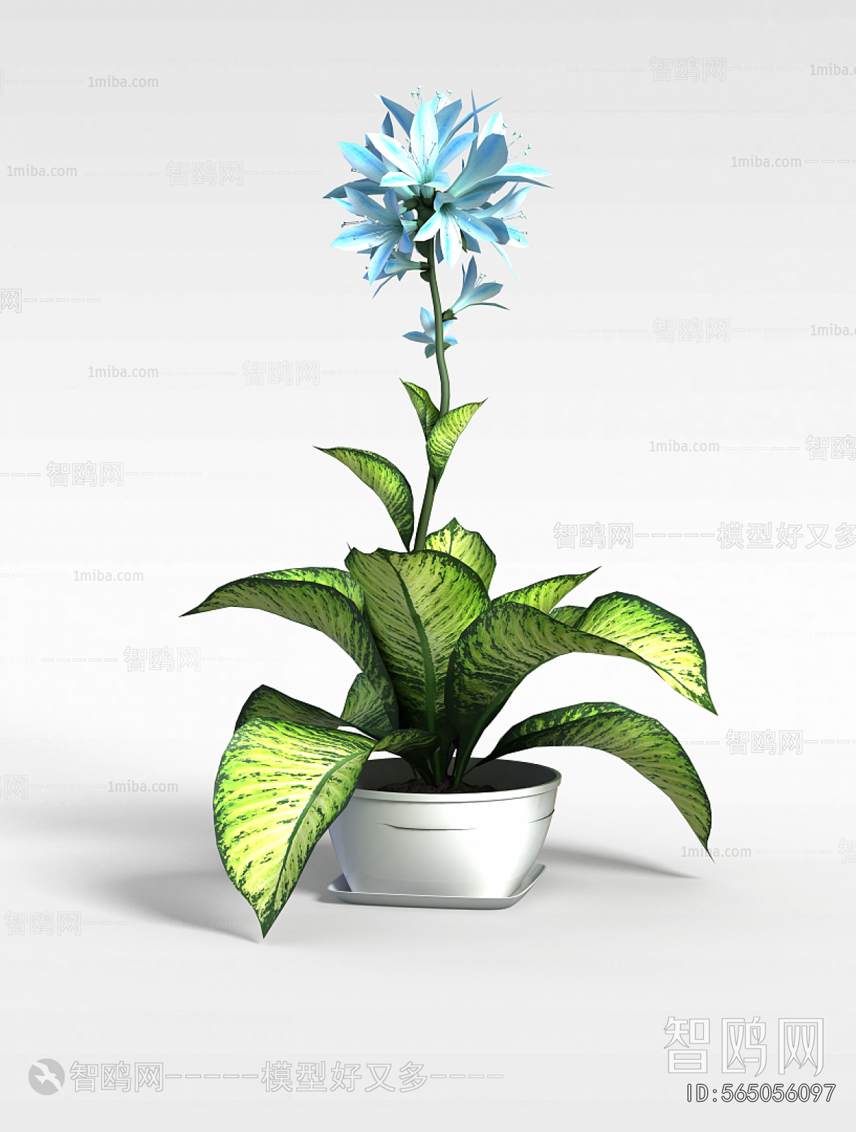 Modern Potted Green Plant