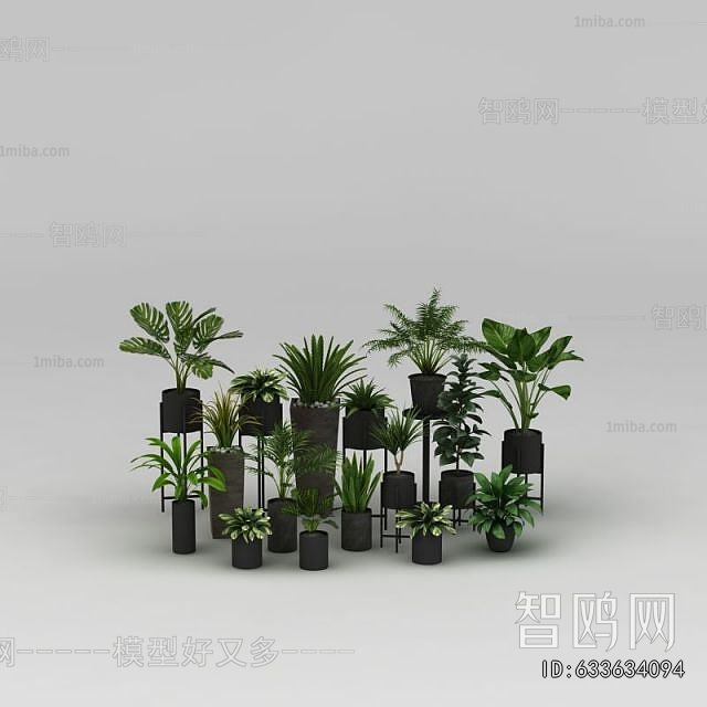 Modern Potted Green Plant