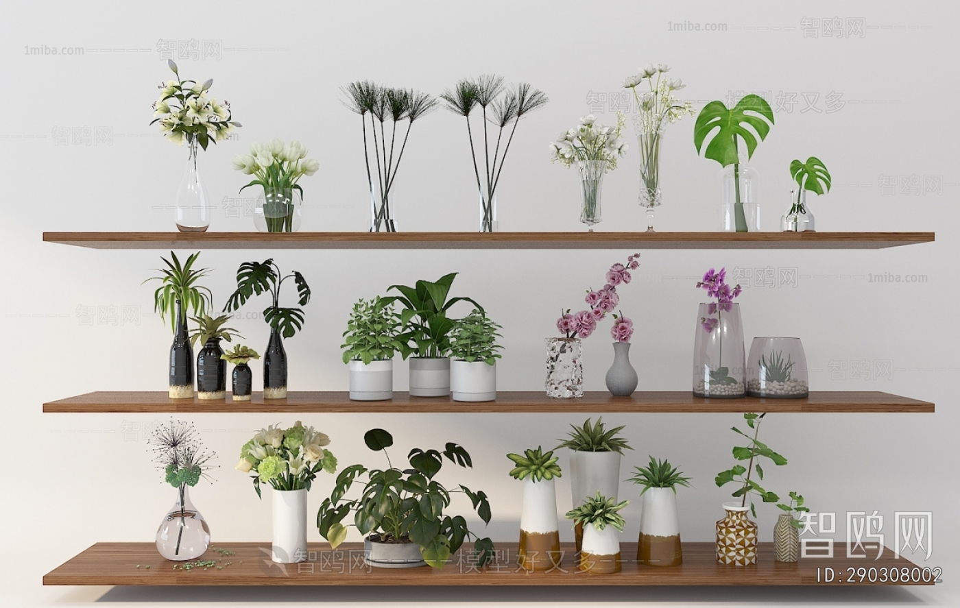 Modern Potted Green Plant